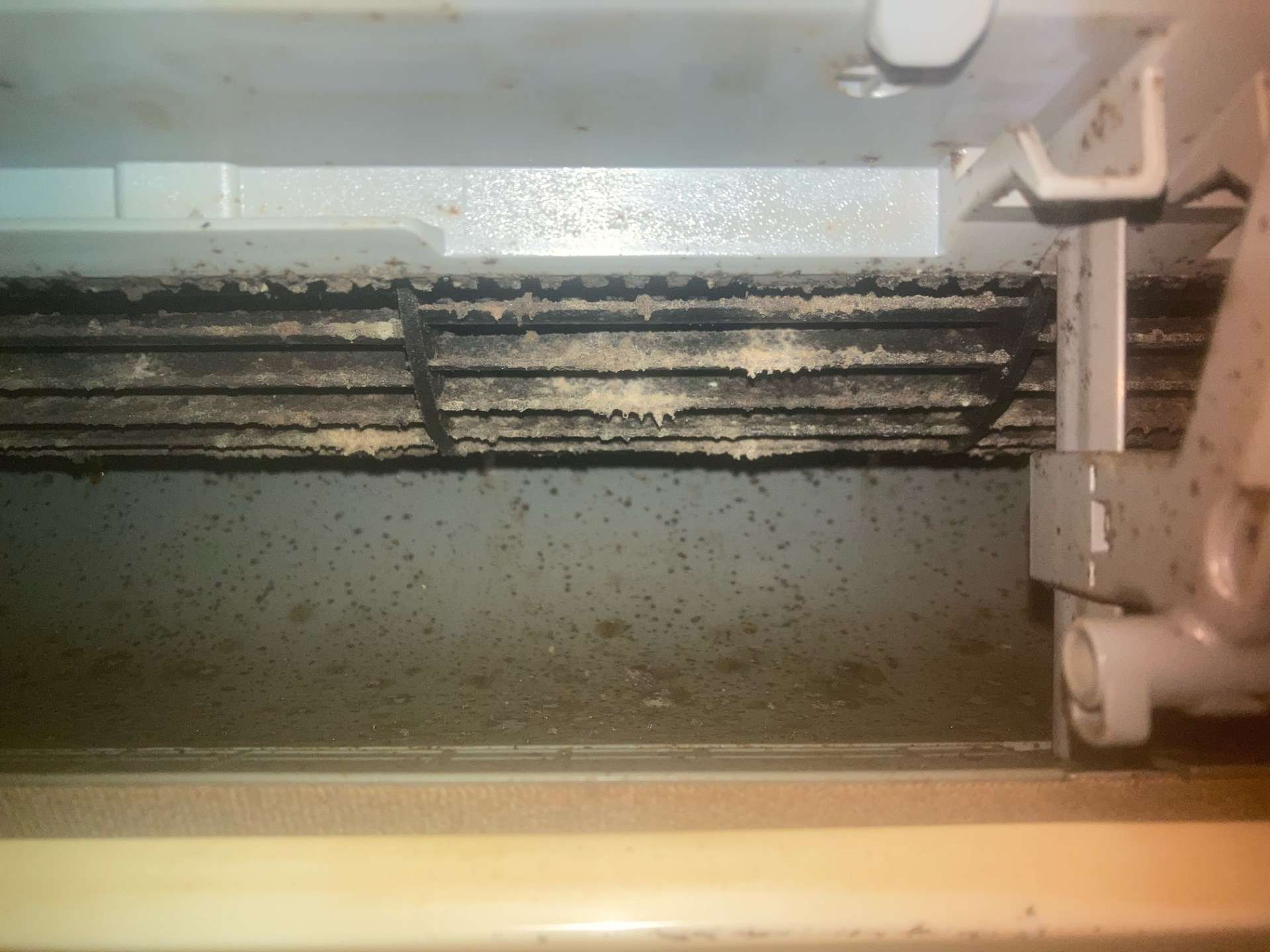 【大阪市】エアコン清掃　敬老の日プレゼント