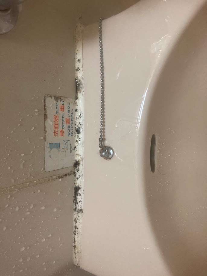 大阪市　カビ取り　水回り